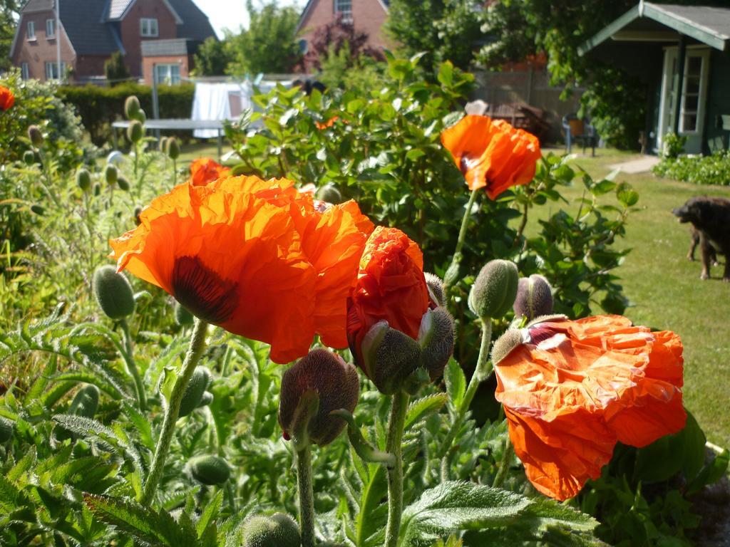 Pension Sturmmoewe Norddorf Buitenkant foto